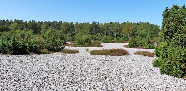 Schlossruine Dwasieden Infos auf sassnitzruegen.de