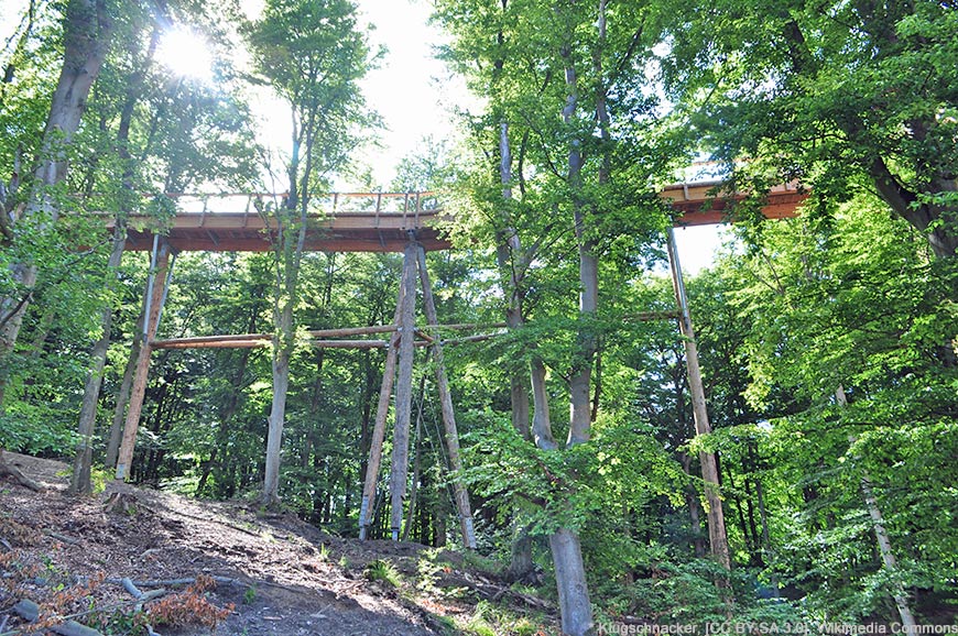 Baumwipfelpfad im Naturerbe-Zentrum Rügen