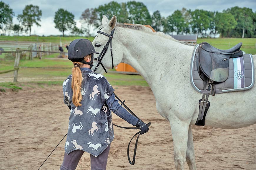 Reiten in Sassnitz